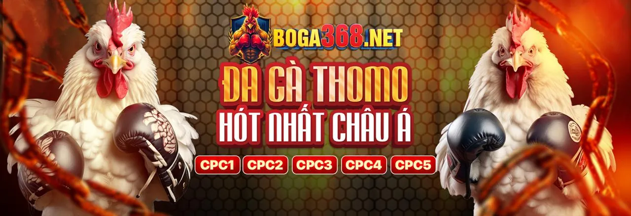Đấu trường đá gà trực tuyến 38win đầy kịch tính